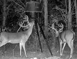 3114 Cr 212 - Photo 86