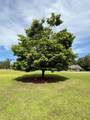 108 Cedar Hill Dr - Photo 8