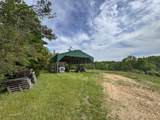 118 Hawkins Road - Photo 129
