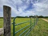 118 Hawkins Road - Photo 131