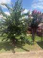 102 American Eagle Way - Photo 33
