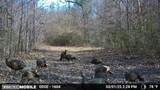 1765 Chapel Town Road - Photo 11