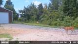 1765 Chapel Town Road - Photo 14