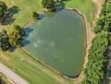 24769 Hwy 315 E - Photo 20