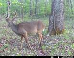 3114 Cr 212 - Photo 3