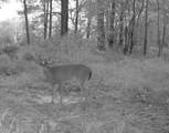 3114 Cr 212 - Photo 84