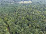 24769 Hwy 315 E - Photo 30