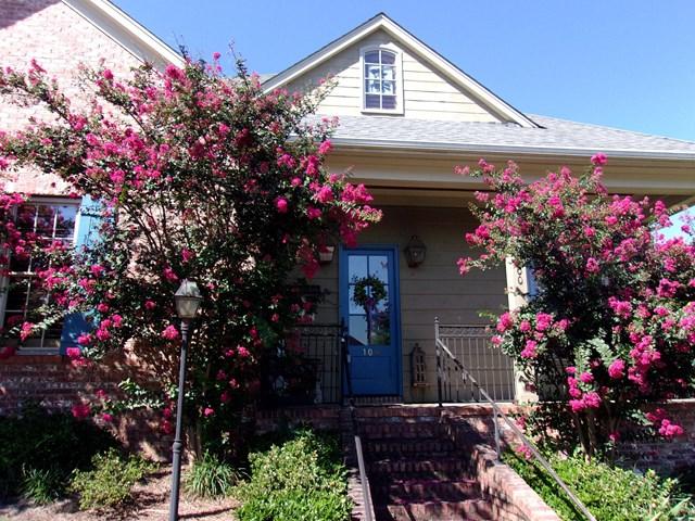 100 Fern Cove - Photo 1
