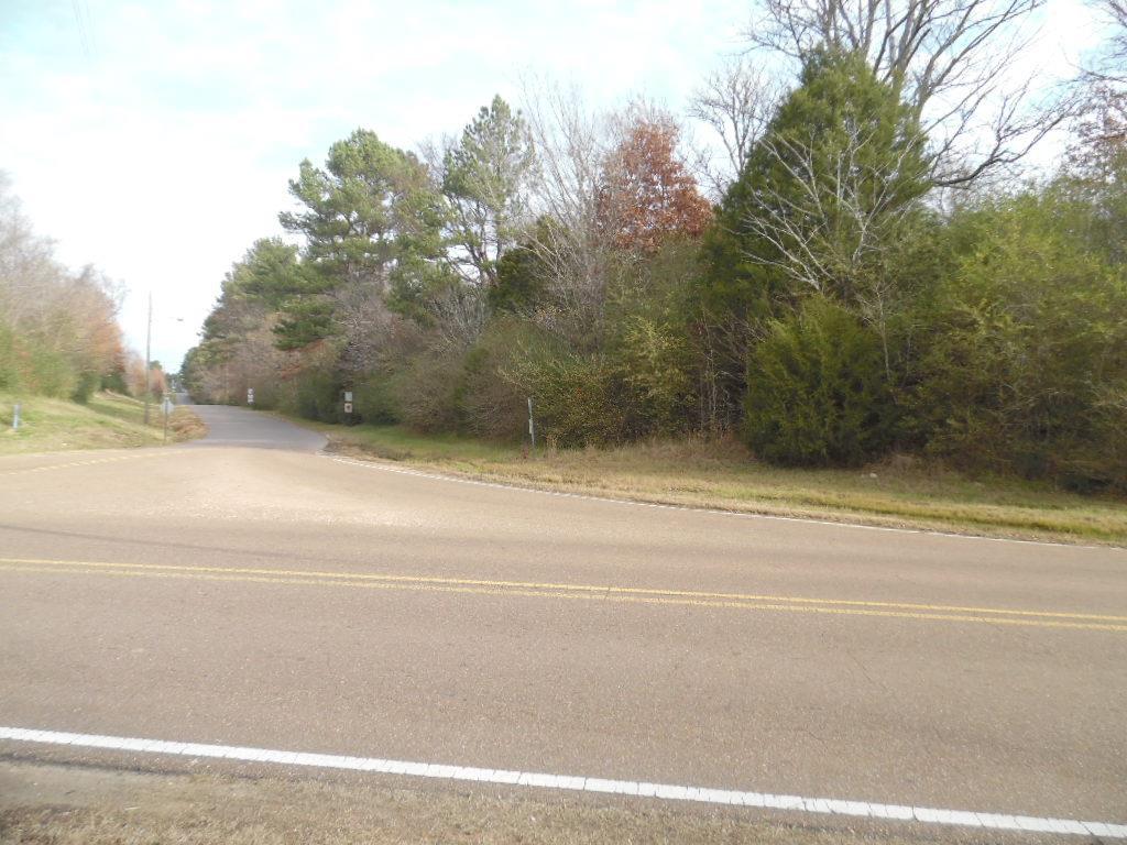 100 Pine Lodge Rd - Photo 1