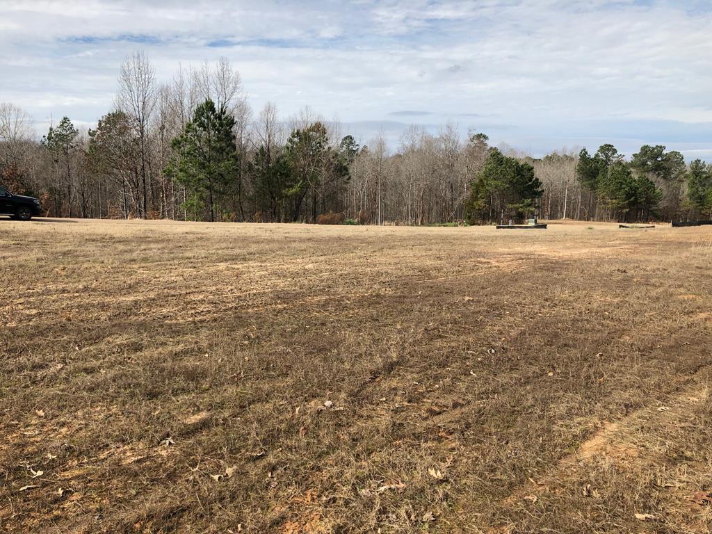5014 Braemar Park Drive - Photo 1