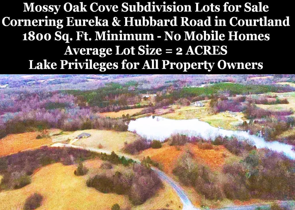 Lot 20 Mossy Cove - Photo 1