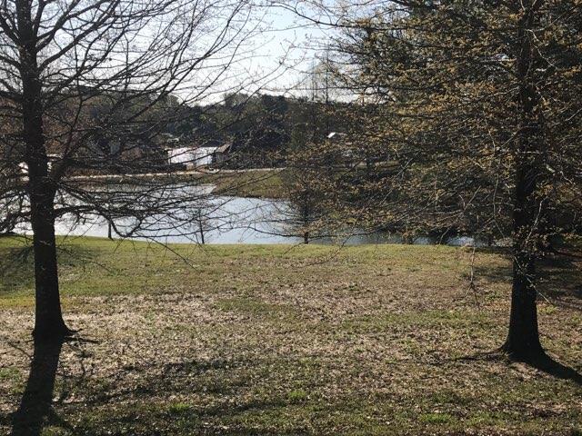 8004 Lake Cove - Photo 1