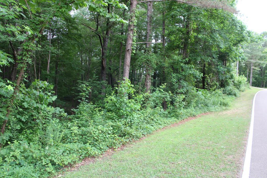 TBD Timber Lane - Photo 1