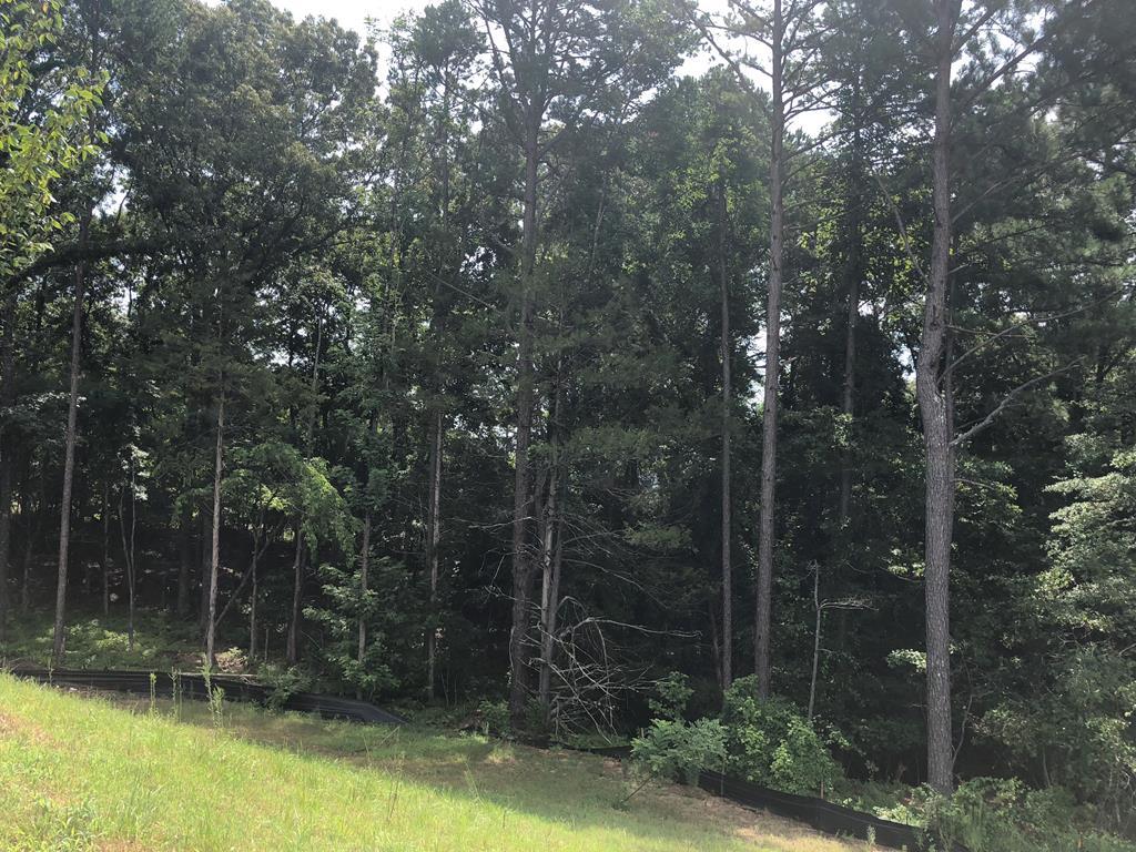 407 Cullen - Photo 1