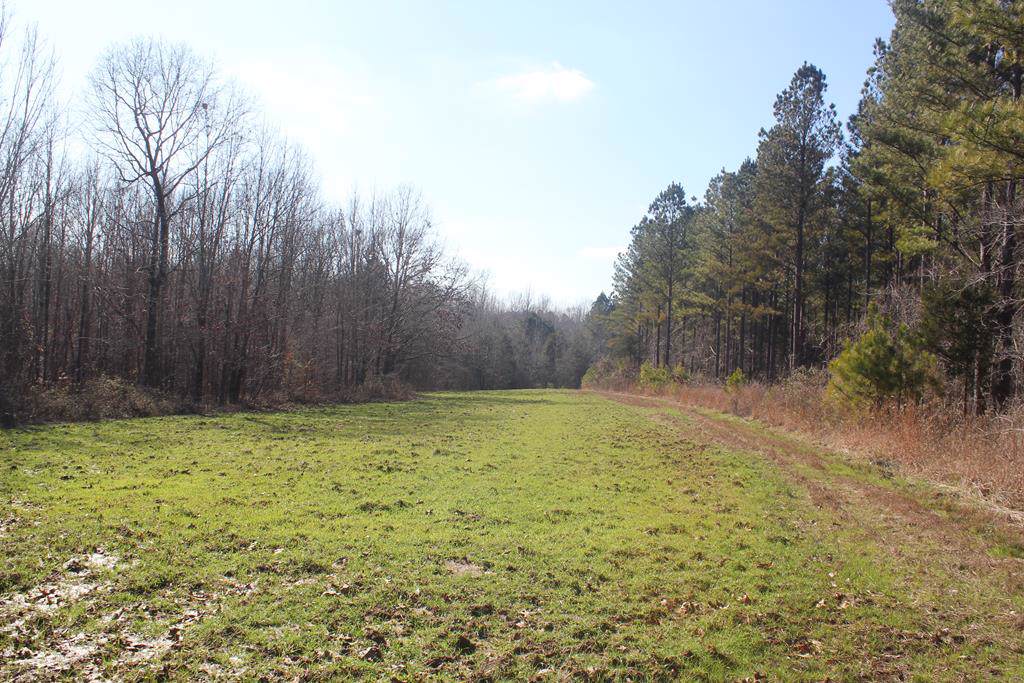 6014 Hernando Road - Photo 1