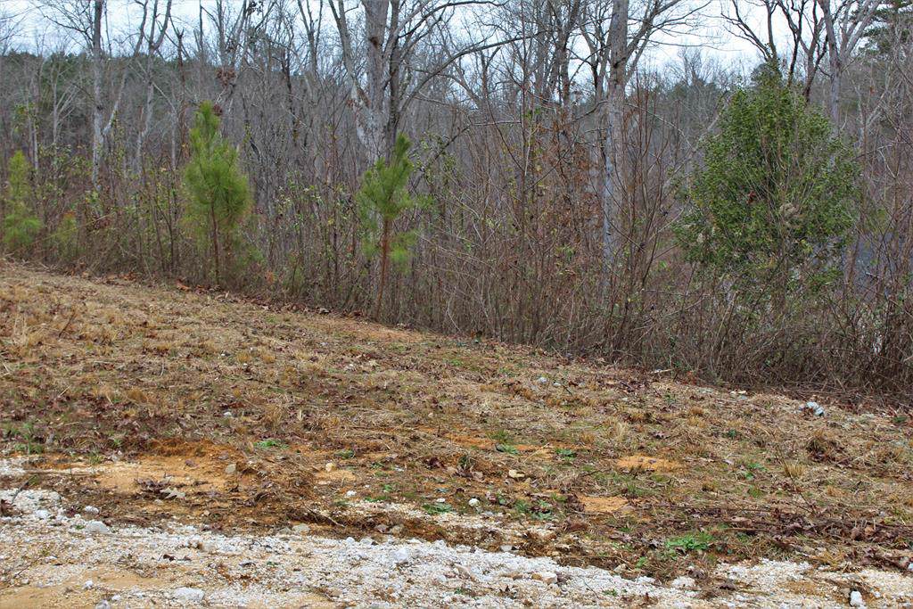 Lot 24 Spring Hollow - Photo 1