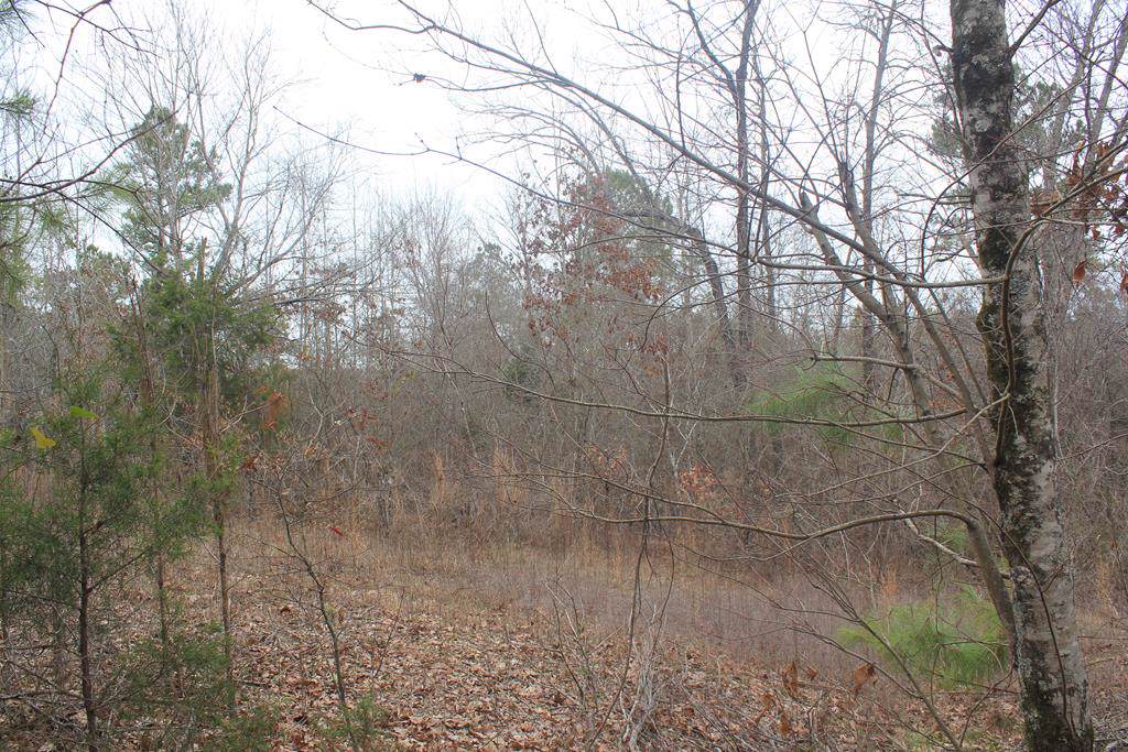 1 County Road 204 - Photo 1