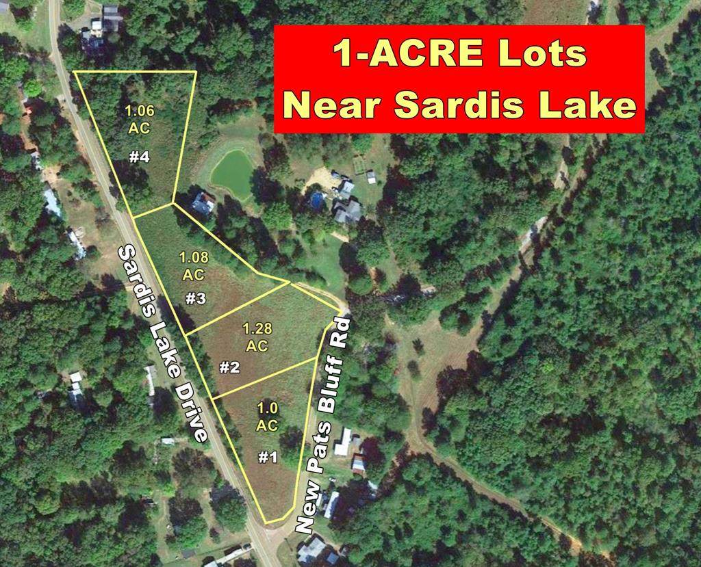 lot 1 Sardis Lake Drive - Photo 1