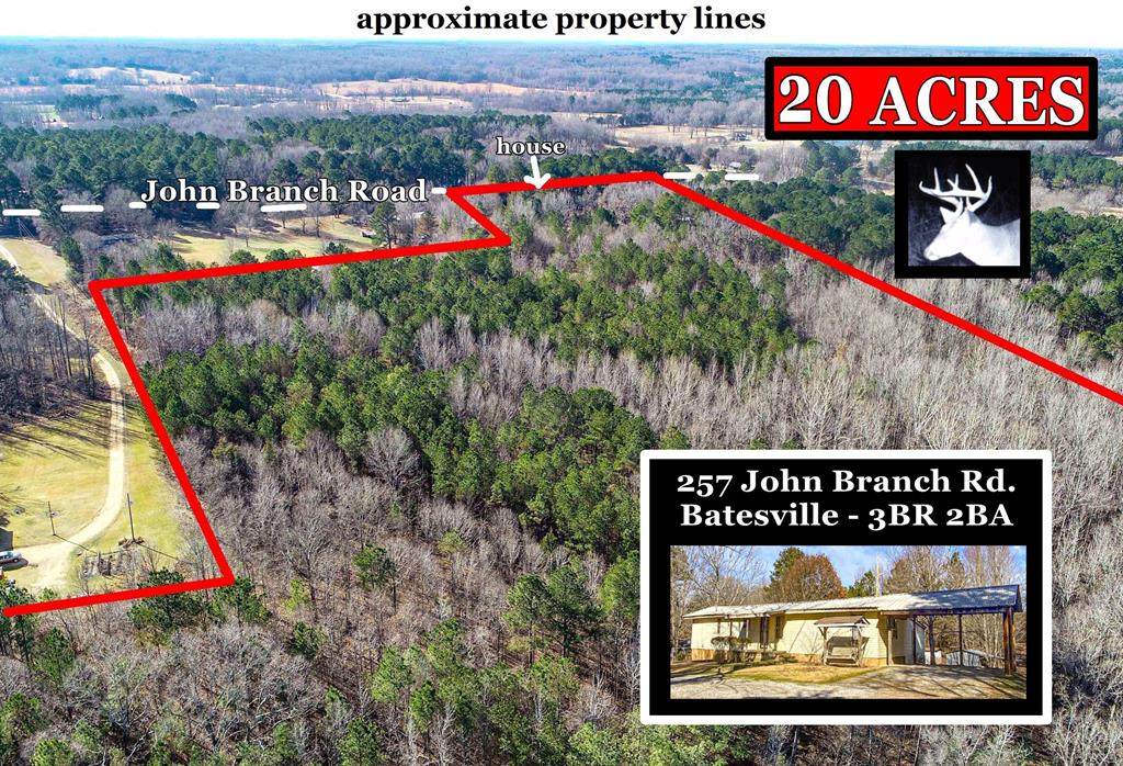 257 John Branch Road - Photo 1