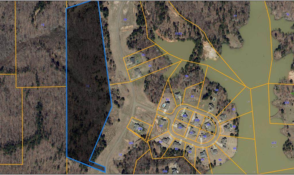 TBD Lakes Dr. N. - Photo 1