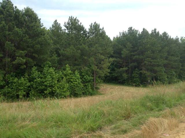 0 Magnolia Way - Photo 1