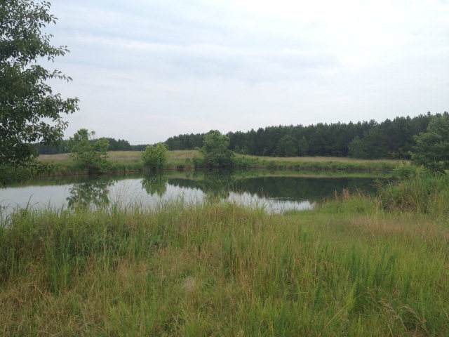 000 Magnolia Way - Photo 1
