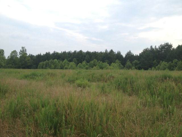 00 Magnoila Way - Photo 1