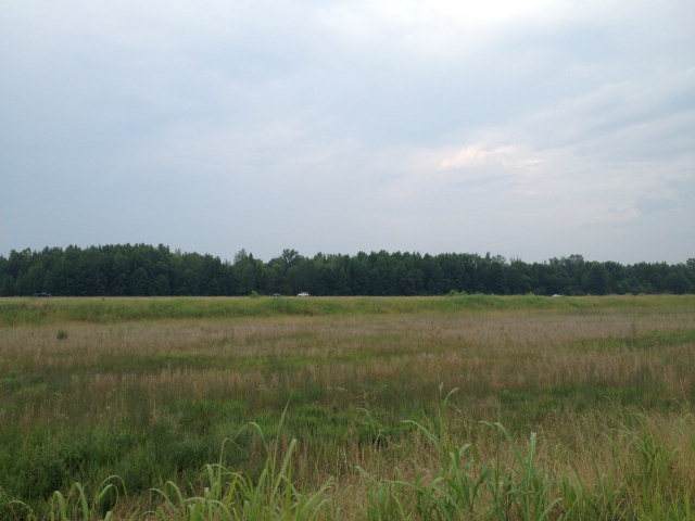 1251 Hwy 9 S - Photo 1