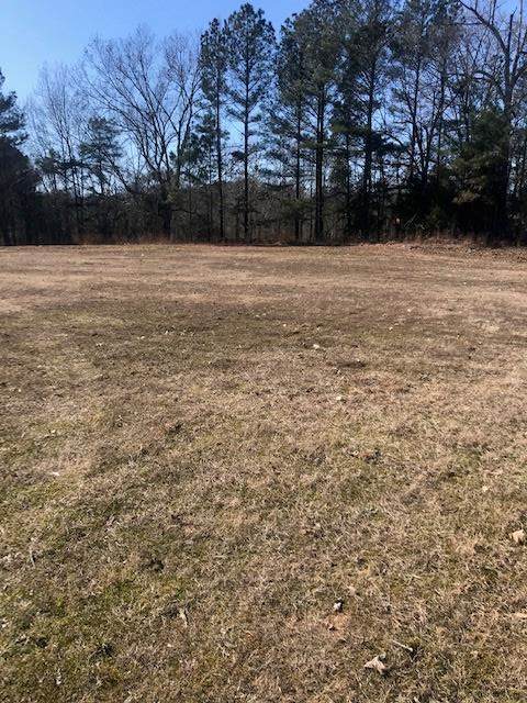 TBD Woodland Road - Photo 1