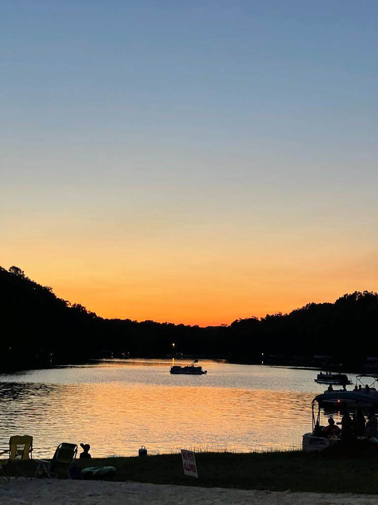 Lot #4 Snow Lake Shores Dr. - Photo 1
