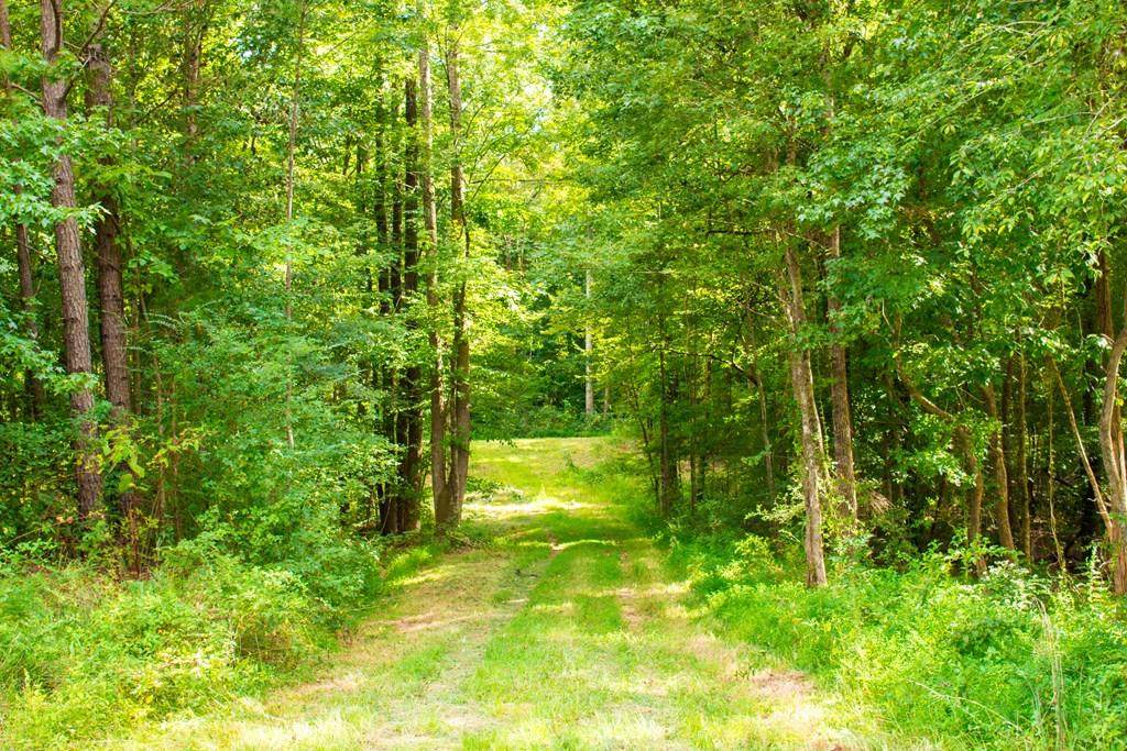 TBD County Road 3030 - Photo 1