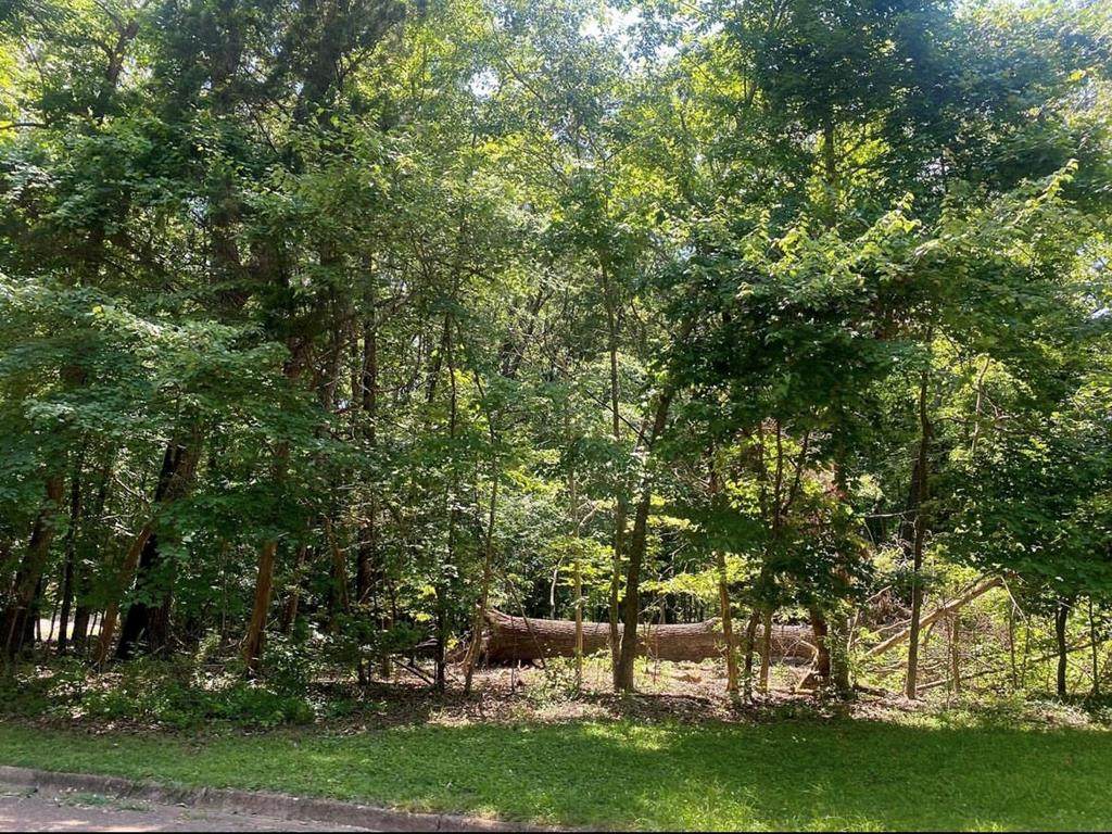 404 Turnberry Circle - Photo 1