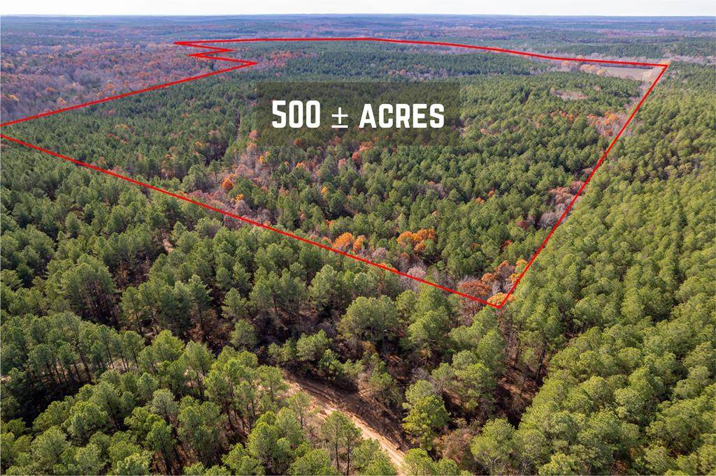 2291 Hwy 32 - Photo 1