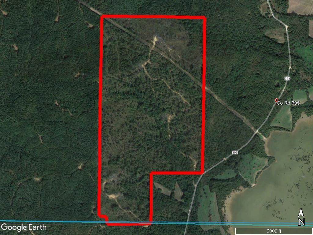 0 County Road 395 - Photo 1