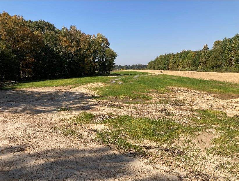 0 Back Road - Photo 1