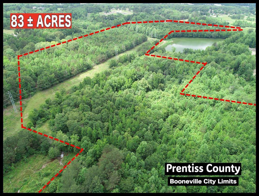 x Jacinto Road - Booneville - Prentiss County - Photo 1
