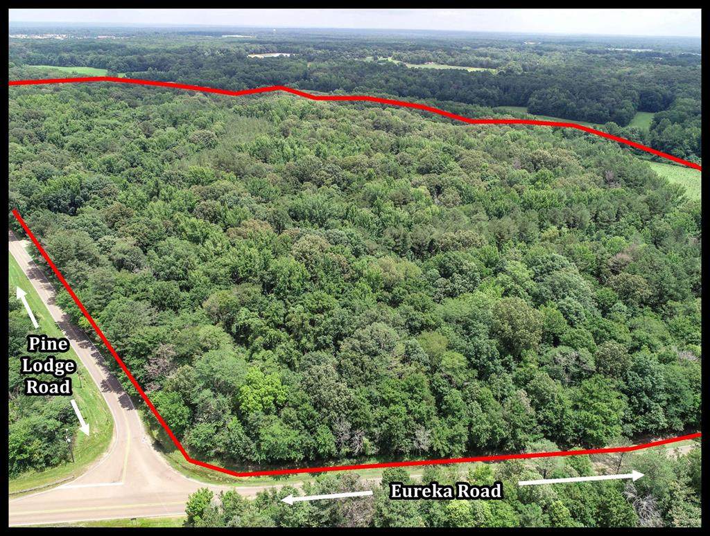 tbd Pine Lodge Road - Photo 1