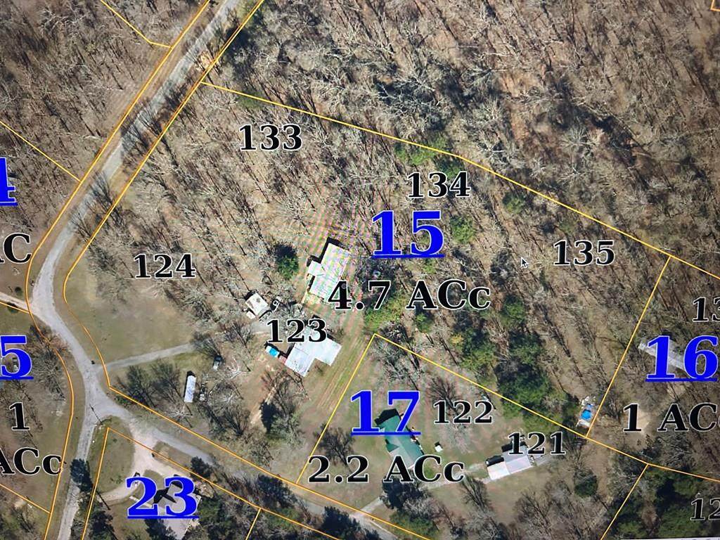 50 Country Road 184 - Photo 1