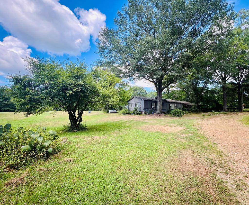 333 John Branch Road - Photo 1