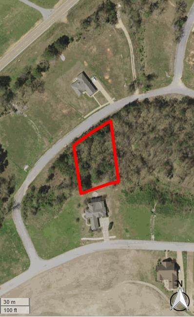 Lot 16 Crenshaw Circle - Photo 1