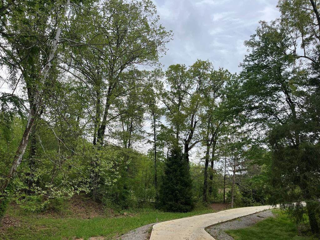 Lot 44 Rosemont Loop - Photo 1