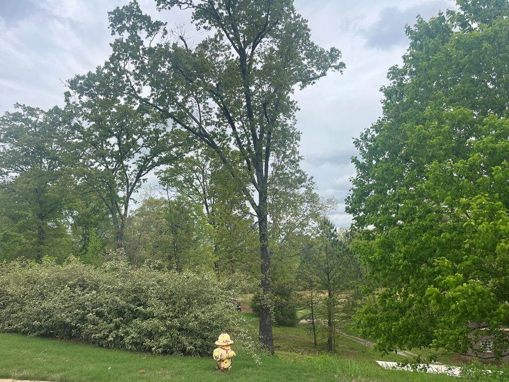 13 Rosemont Loop - Photo 1