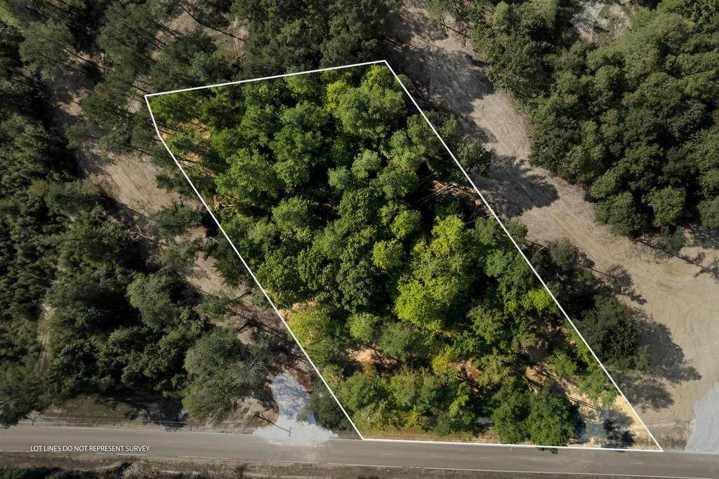 TBD Cr 430 (Lafayette County) - Photo 1