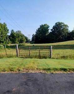 0 Highway 305 - Photo 1