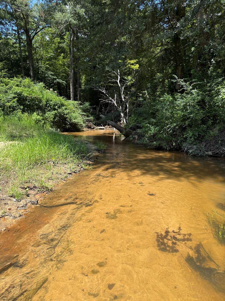 00 Brooksville Rd - Photo 1