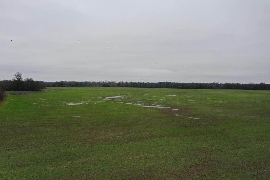 2000 Walnut Lake Road-Dundee - Photo 1