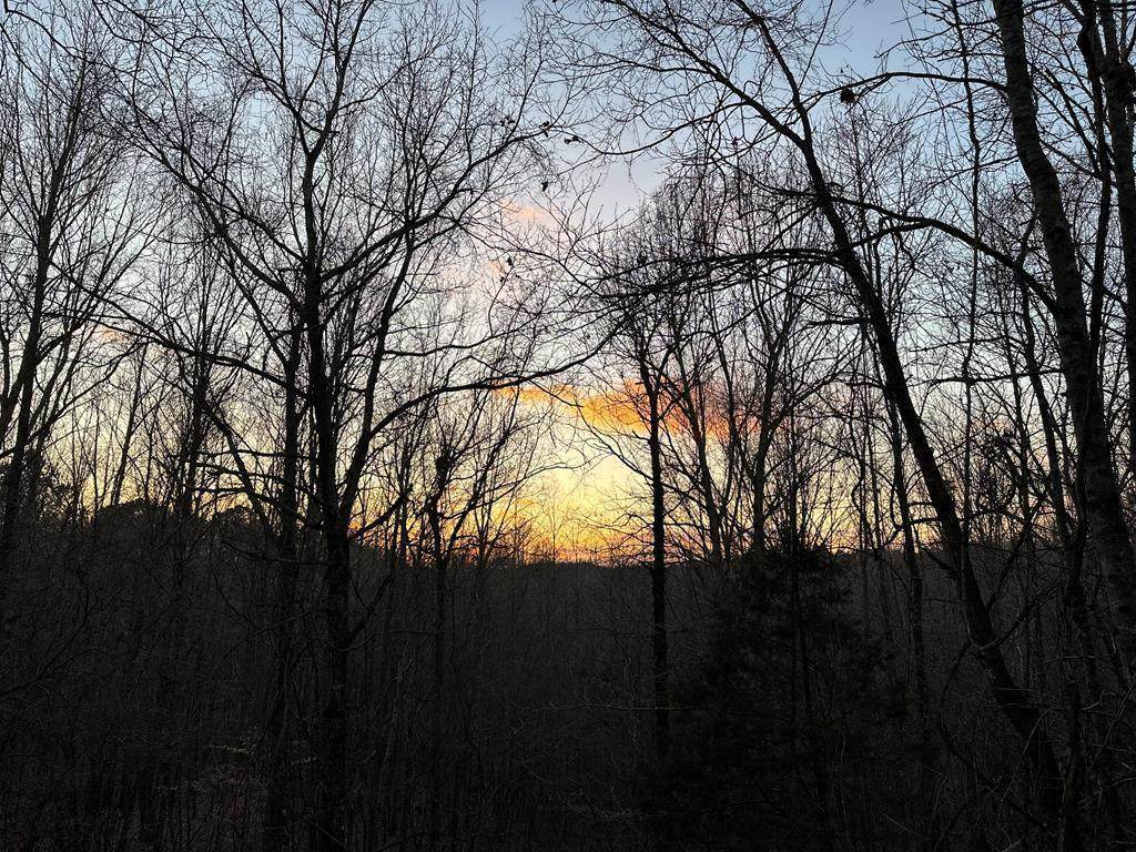 TBD Lakes Dr S - Photo 1