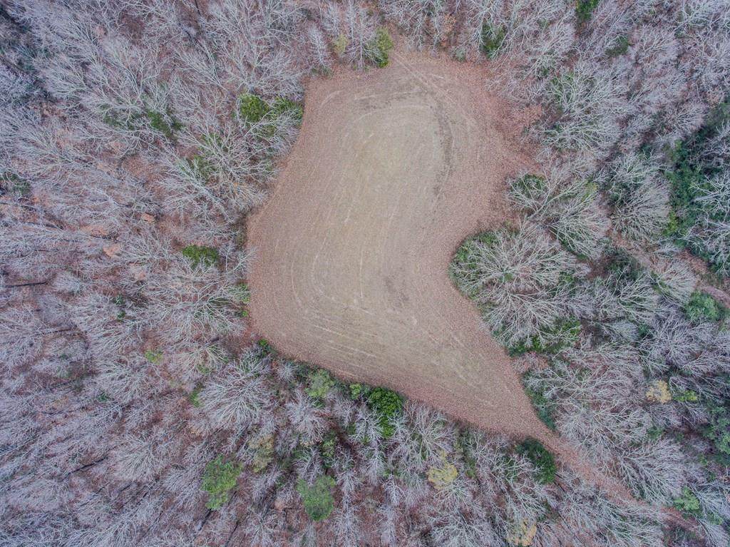 000 Cr 215 - Photo 1