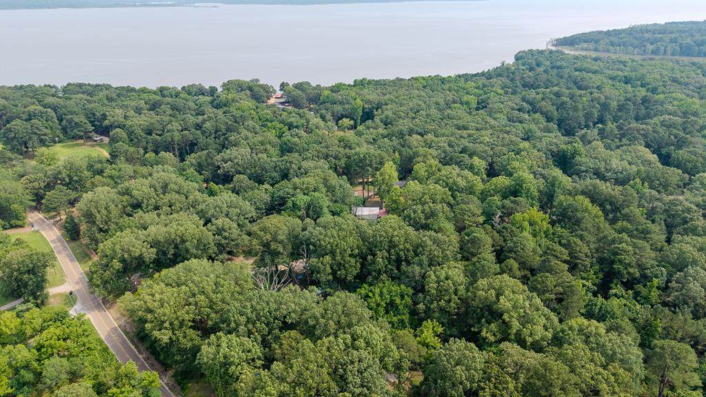 0 Private Road 5007 - Photo 1