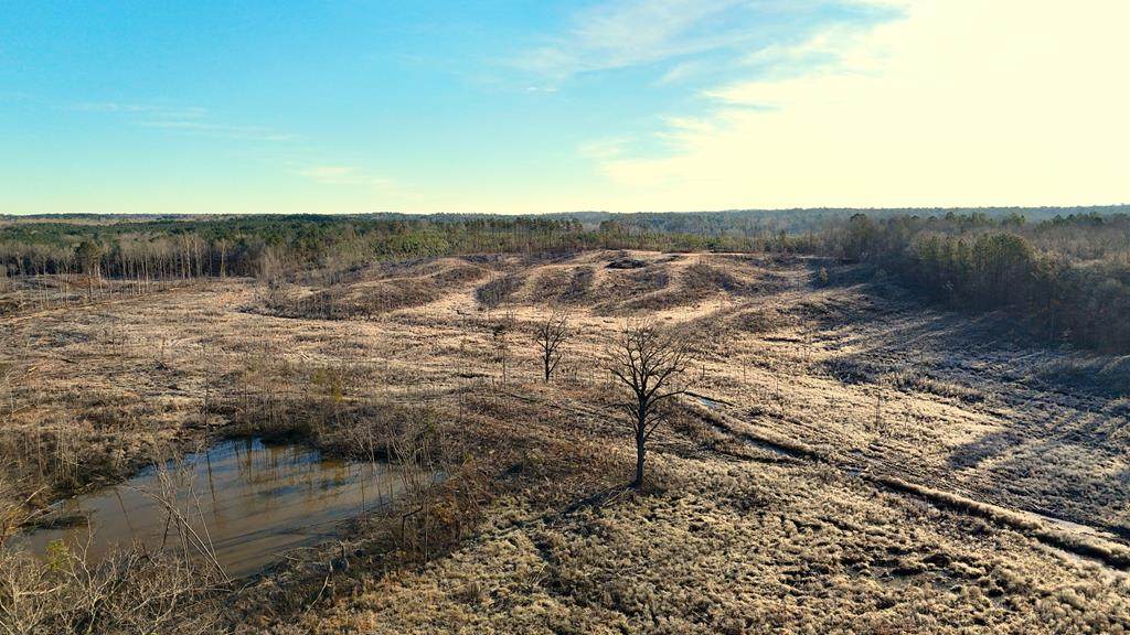 29 County Road 1361 - Photo 1